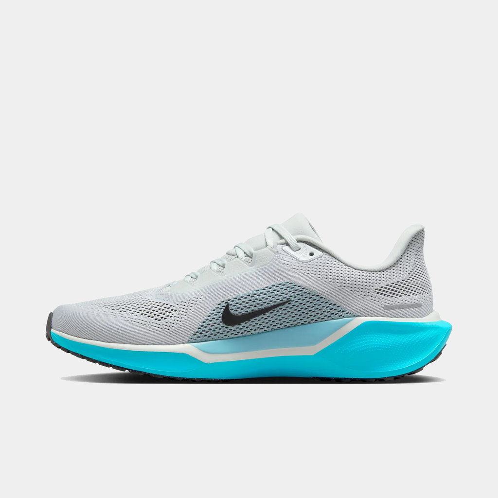 Air Zoom Pegasus 41