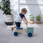 Delivery Bike - Orchard